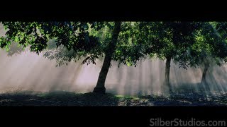 Bob Holmes - Check your settings!