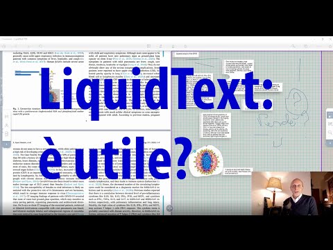 V. 27.  LiquidText: La Mia Opinione