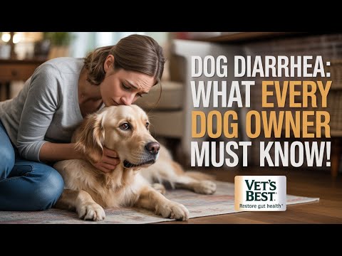 Dog Diarrhea Explained: Causes, Treatment, Prevention & Home Care (Complete Dog Health Guide) 😀