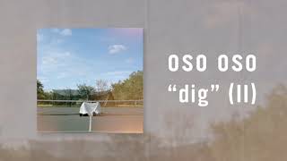 dig Music Video