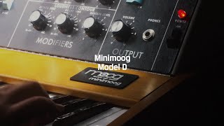 Moog Music Minimoog Model D 소개