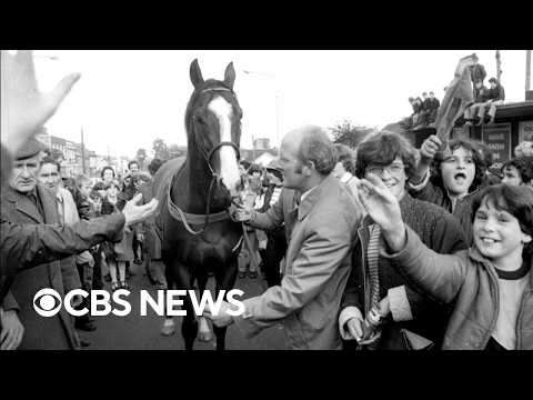Whodunnit? The 40-year mystery that shocked horse racing