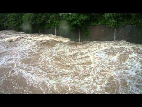 Weißeritz, Einmündung Elbe