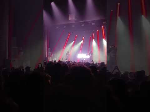 lesram cigale 23 02 2023