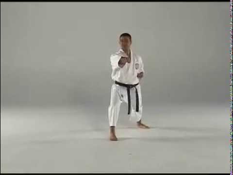 1st Kata - Taigyoku Shodan