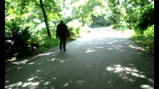 Berlin in summertime.Bicycle ride in Tiergarten( music David Sylvian exit-delete)