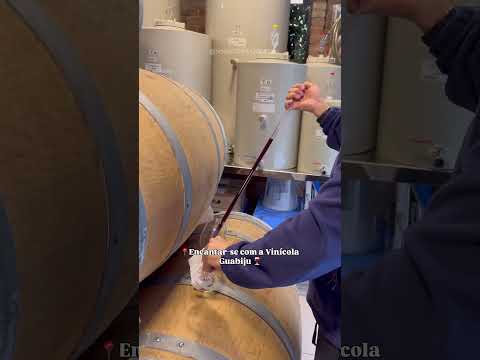 Barros Cassal em 1 dia: Cascata do Sol, Vinícola Guabiju, Cantina Batistti, Rancho 153 #turismo