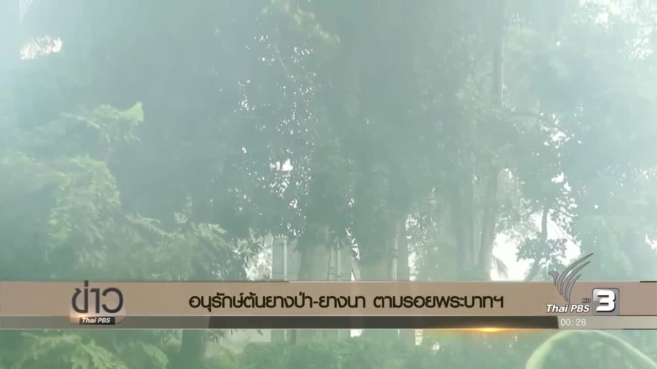 ป่ายางนา