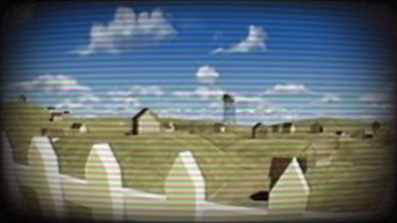 L o s t    w o o d s