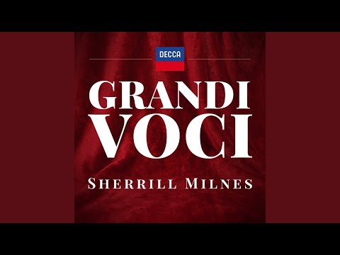 Verdi: Rigoletto / Act 2 - "Cortigiani, vil razza dannata... Ebben piango"
