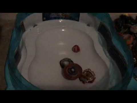 Grand Dragon VS. Z Achilles