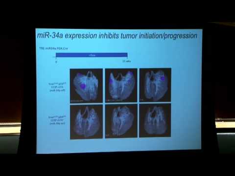 Flipping Switches: Modeling Cancer in the Mouse - Tyler Jacks