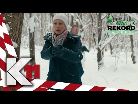 Mysterious disappearance: spectacular forest search begins!! | 1/4 | K11 - The New Cases | Sat.1