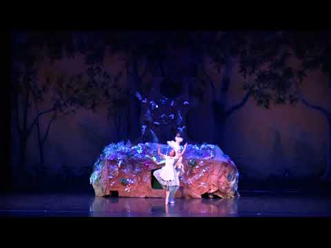 AVA   Alice in Wonderland 2024