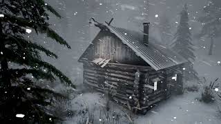SEVERE WINTER STORM. Snowstorm sounds for sleeping and howling wind. Video of snowfall for sleeping