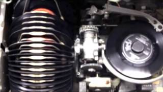 Tubas In The Moonlight