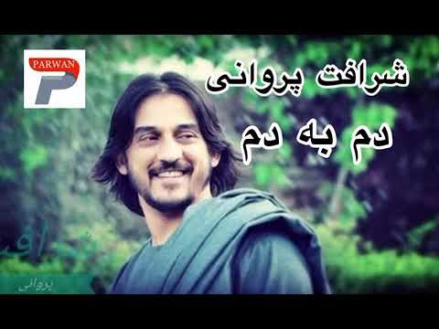 Sharafat Parwani| Dam Ba Dam New Song | شرافت پروانی | دم به دم