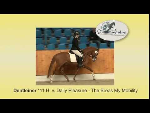 Dentleiner *2011 von Daily Pleasure