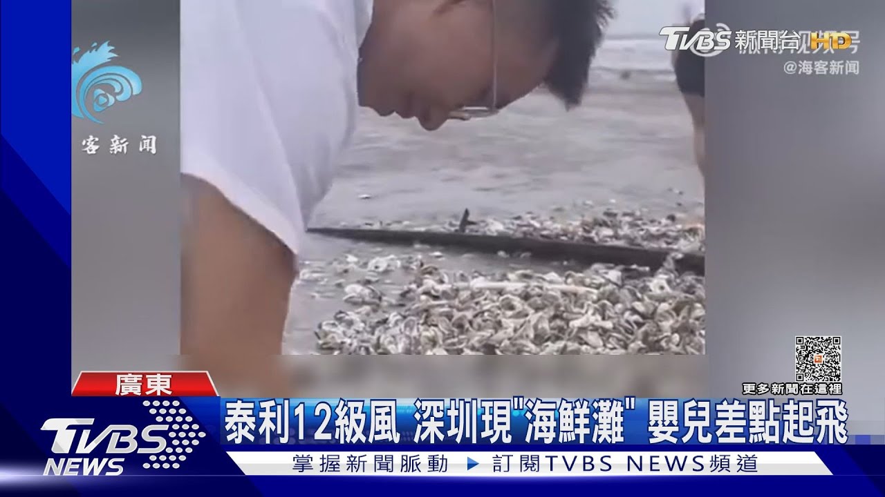 泰利12級風 深圳現「海鮮灘」嬰兒差點起飛