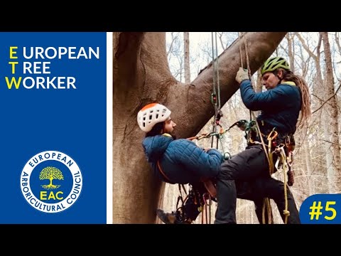 ETW PROMO / #5 / Exam - Simulations I.