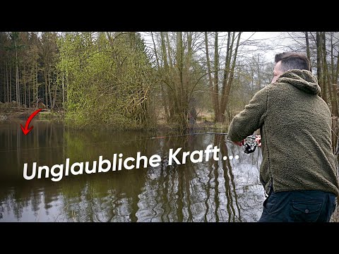 Waldsee angeln eskaliert. Ausnahmefisch auf Wurm.
