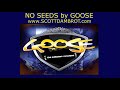 NO SEEDS by GOOSE aka Scott Dambrot - Lyric Video 👀