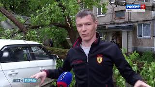 Ураган в Перми: Сводка происшествий