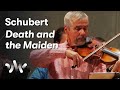Schubert: String Quartet No. 14 'Der Tod und das Mädchen' arr. string orchestra