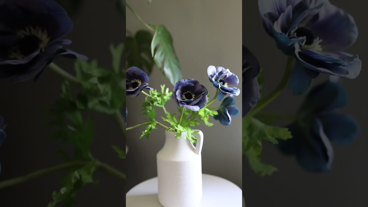 Himalayan Blue Anemone 17.5