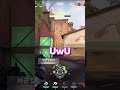 UwU for every kill?! 🤭 #shorts #goepalgg