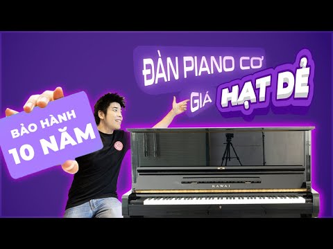 Bảo hành 10 năm - Đàn Piano cơ giá hạt dẻ