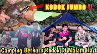 Download lagu Camping Hunting Frogs at Night #jumbofrog #camping #borneo mp3