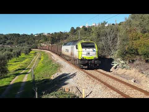 Comboio Especial n.º 91209/8 - Ortiga