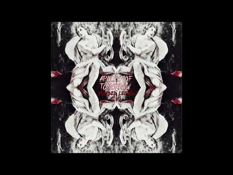 BEARDED LEGEND - APOLLO OF TOMORROW (PROD. SLVG)