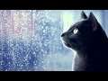 Apologies for the Rain by Nathan Ford