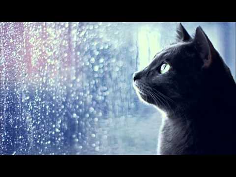 Apologies for the Rain