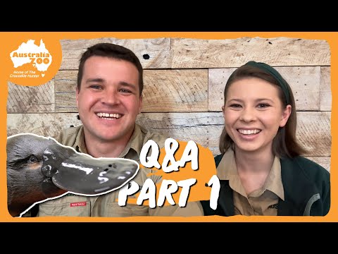 What Does the Future Look Like? | Bindi Irwin and Chandler Q&A: Part 1