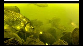 Рыбалка на беловском море в августе