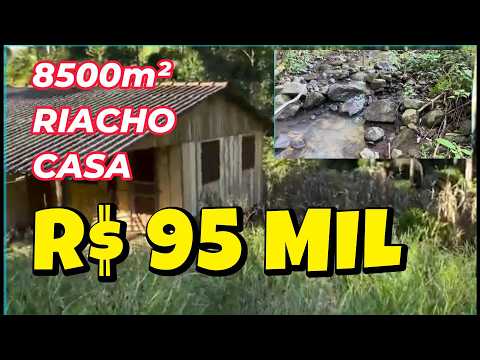 [1132] CHÁCARA EM ROLANTE 8500M² CASA RIACHO FIBRA ÓTICA ACEITA CARRO PARCELA R$ 95 mil #chacara