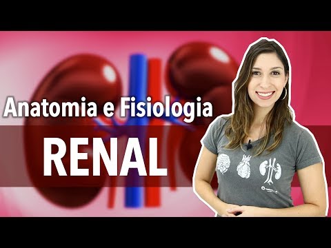 Sistema Excretor/Urinário: Aula 1/2. Anatomia e Fisiologia Renal