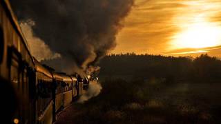 Thomas Newman - Suds on the Roof