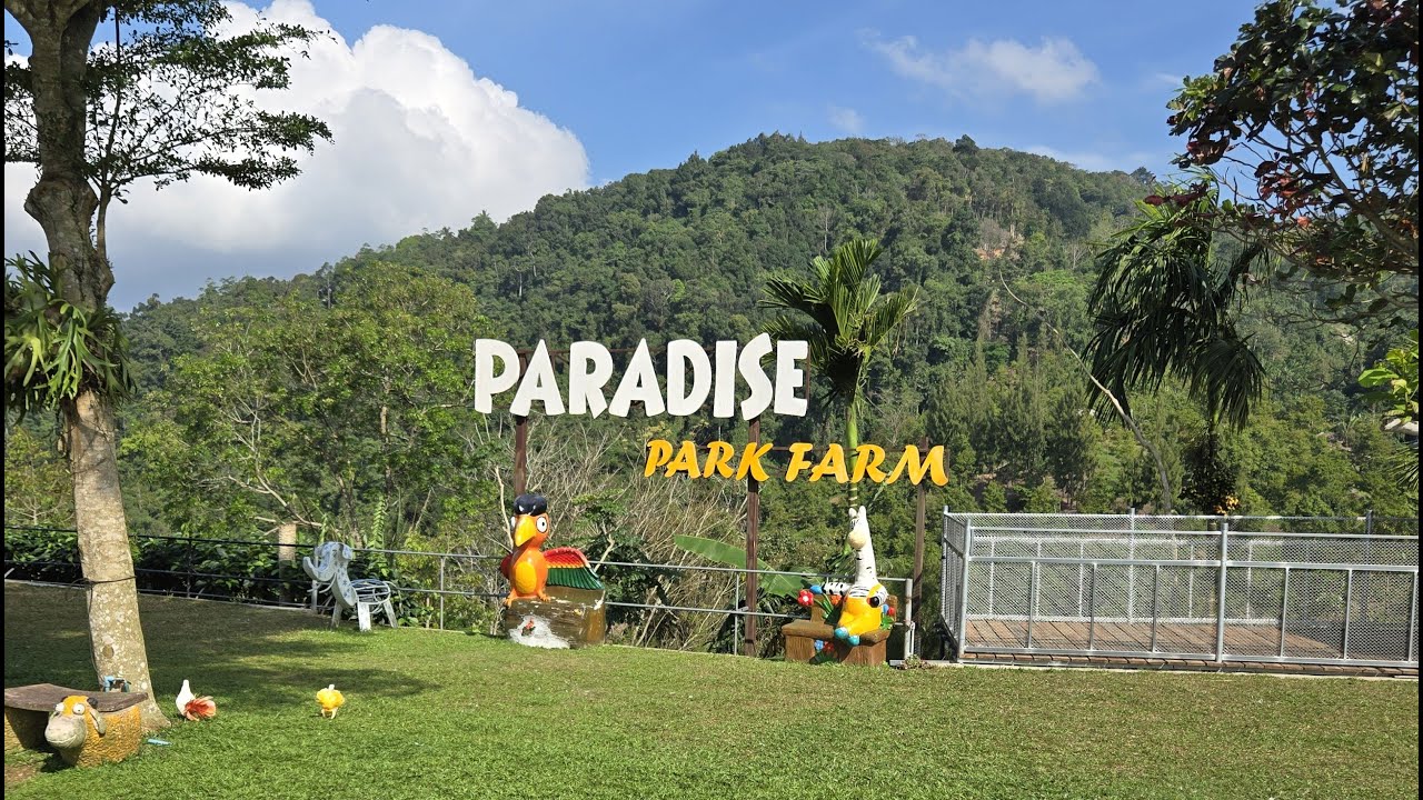 Thailand 2025 thumbnail