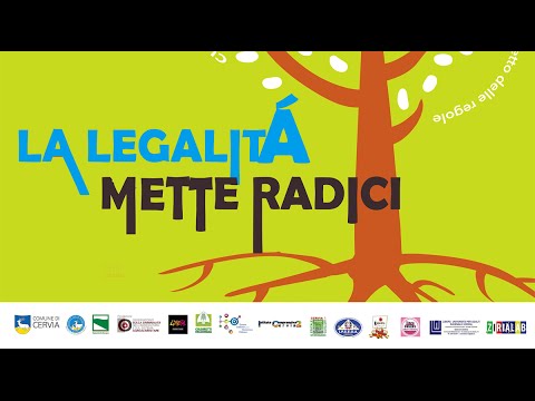 La Legalita Mette Le Radici Pensieri Sulla Mafia Pubblicato Il Video Sul Sito Del Comune Ravennanotizie It