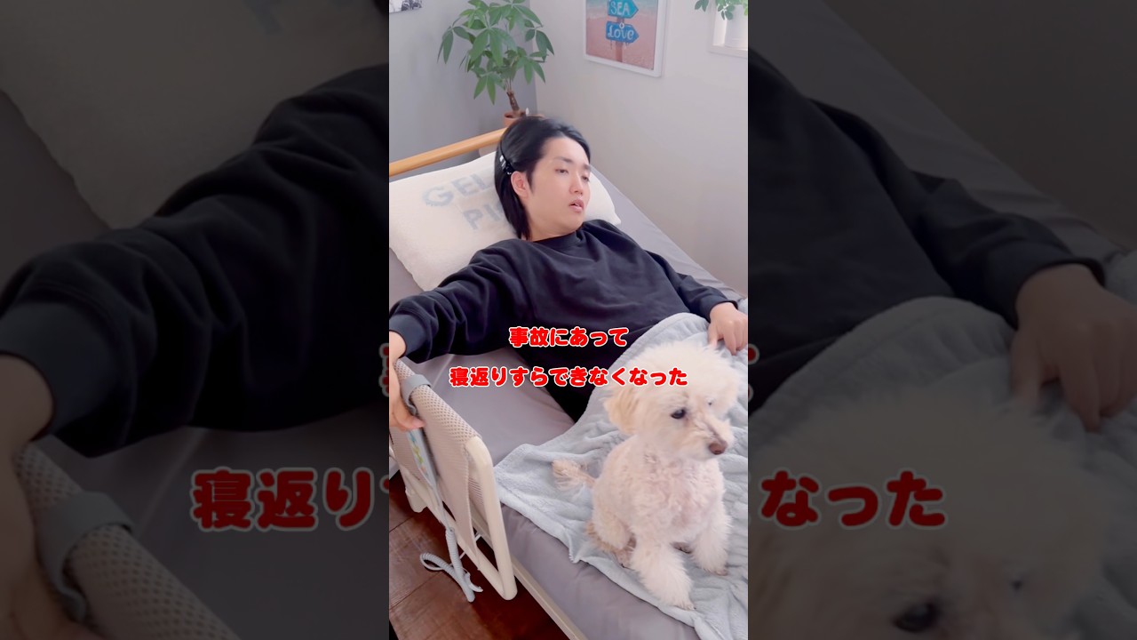 事故で全てを失ったら…不幸なの？僕は違うよ。#交通事故#寝たきり#全身麻痺#支えられている#感謝#車椅子#障害者#車椅子モデル#shorts