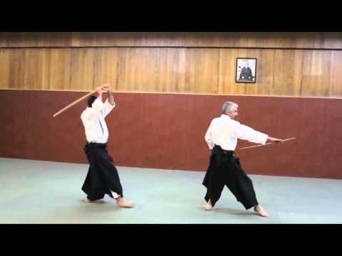 Aikido: Bruno GONZALEZ and Pascal GUILLEMIN