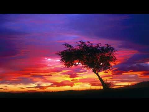 CVGM OST - Sunset Savannah
