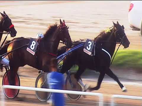 Trotto 09/09/2018 - 10ª corsa