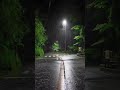 Rain Whatsapp Status Rain Whatsapp Status Video Barish Status Rain Day Nature Whatsapp Status