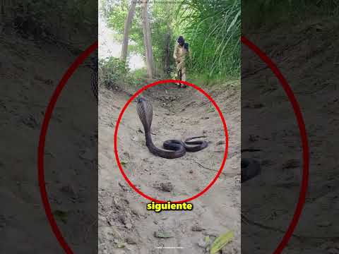 De Repente Aparece Una Serpiente Mientras El Campesino Se Está Bañando 😱