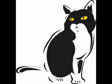 Volevo Un Gatto Nero - Gabry Ponte Remix